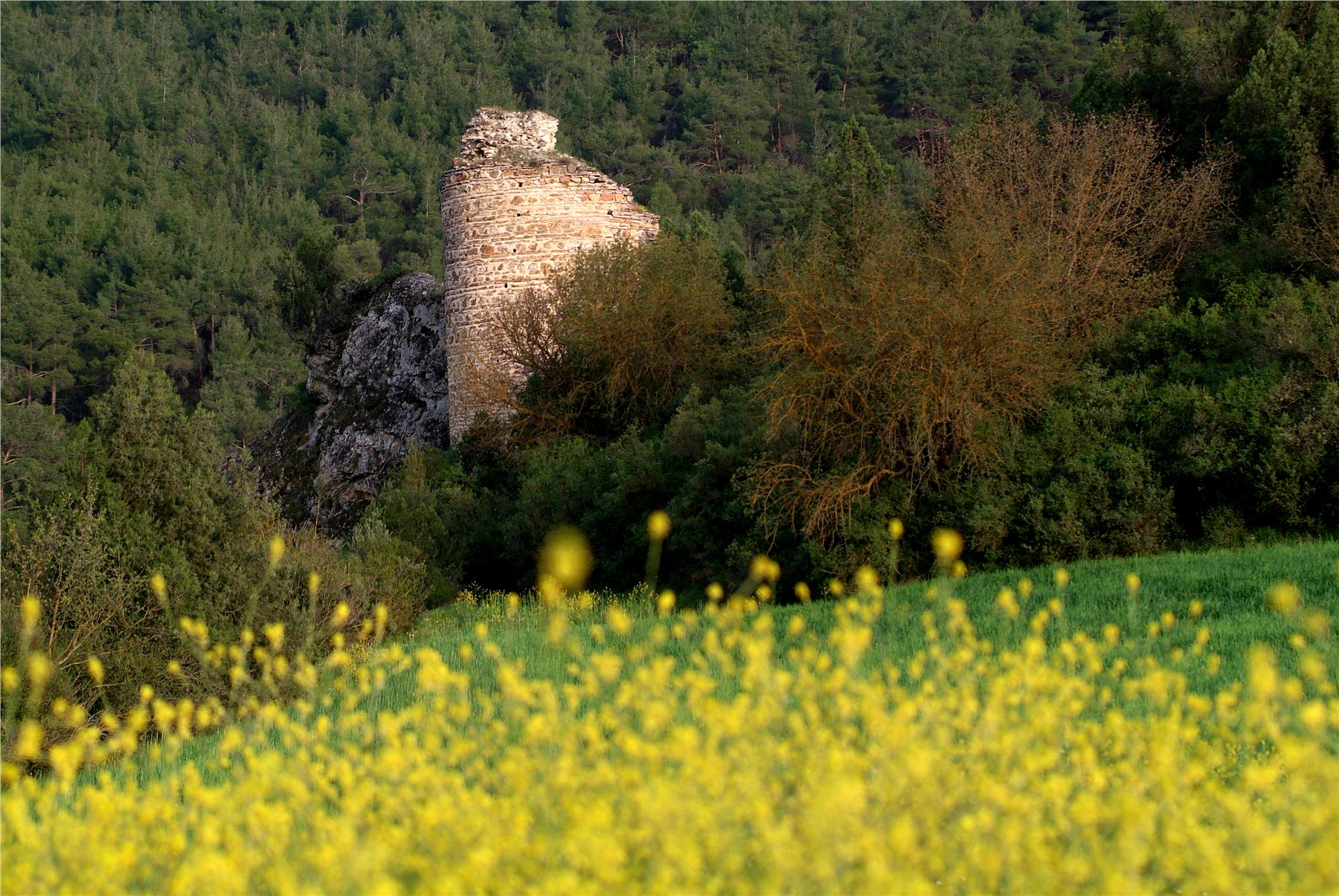 Osmaneli'nin tarihî mimarisi
